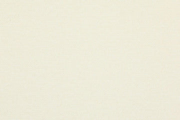 Jersey Basic "Vanessa" by Swafing, uni, natur, 0,5 m
